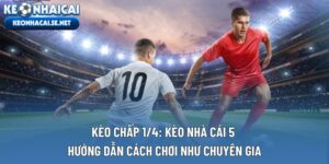 Kèo Chấp 1/4: Kèo Nhà Cái 5 Hướng Dẫn Cách Chơi Như Chuyên Gia