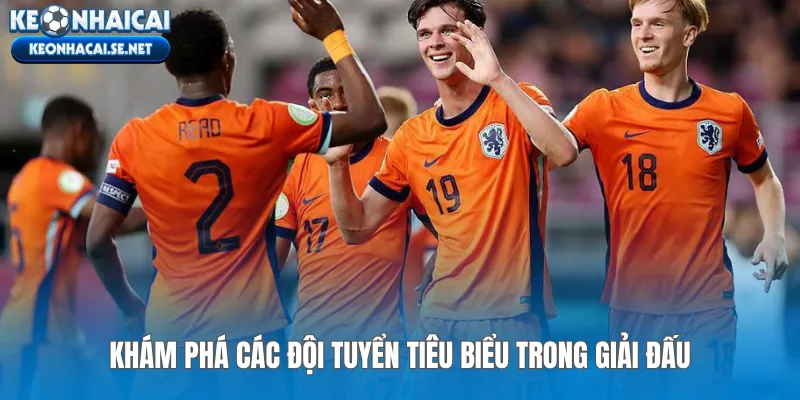 Khám phá các đội tuyển tiêu biểu trong giải đấu