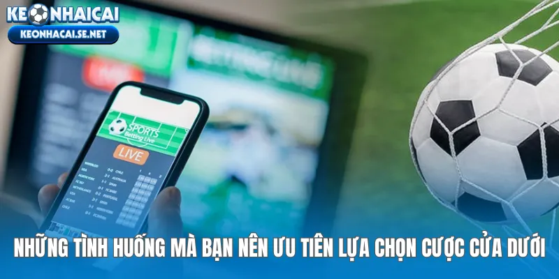 Những tình huống mà bạn nên ưu tiên lựa chọn cược cửa dưới