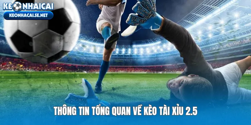 Thông tin tổng quan về kèo Tài Xỉu 2.5